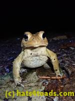 /home//u458753944/public_html/sourcegallery//McKaig Nature Center/2020-09-27/P9270704.JPG